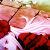 rosescape: (I'm willing to walk)
