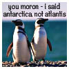 ladyvyola: (penguins dammit)