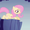 butterflybutt: (And d-down will... come... Fluttershy...)