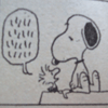 sfred: (Snoopy friendship Woodstock)
