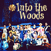next_to_normal: Broadway cast of Into the Woods (Into the Woods)