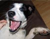 cadremage: (joyous day)
