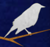cedarmyna: illustrated image of a white bird on a branch at night (Default)