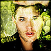 drew: (jensen window)