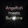 red_in_black: Angelfish meets Sunshine (Pros)