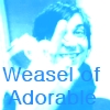 wenchpixie: (mcr frank weasel)