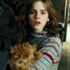 alt_hermione: Hermione, determined. (determined)