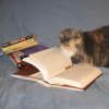 affreca: (Books)