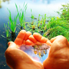 sashajwolf: photo of water held in cupped hands, with a river in the background (water)