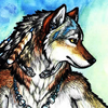 sashajwolf: drawing of a wolf (wolf drawing)