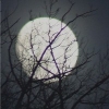 blackmare: (littlemoon)