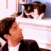 cryingbatman: (anything but cats)