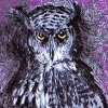 blackmare: (jim dine's owl)