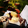 ari_ira: (books and leaves)