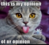 vraptorz: hairball! (Opinion cat)