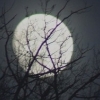 black_cigarette: (Mare littlemoon)