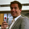 veryspecialagent_dinozzo: ([food] hey it worked for pitt in oceans1)