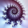 mind_game: (fractal)