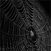 mind_game: (web)
