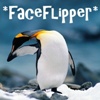 dhamphir: (faceflipper)