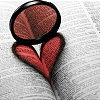 panda: photo of a pink lense placed in the pages of a book so that the shadow forms a heart (&hearts;)