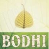 bodhifox: (bodhi)