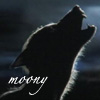 moonwolf23: (pic#581999)