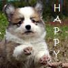 pwcorgigirl: (happy corgi puppy)