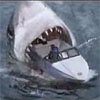 bodlon: (misc - shark attack 3)