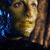eversohungry: (I'm a lizard woman from the dawn of time)