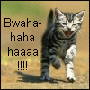 green_wing: (Kitten - evil laugh)