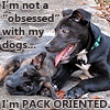 raze: two puppies and text, 'I'm not obsessed with my dogs. I'm pack oriented." (dogs)