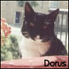 oliviaramirez: (dorus)