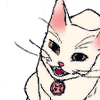 catlasts: (meowth that's right!!)