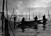 curmudgn: Chesapeake fishermen pound-netting (PoundNetters)