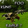 ximeria: (MISCH - eagle kung foo)