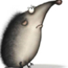 celestialteapot: A cute little hedgehog. (main)