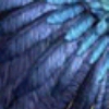 feathered_mages: (Feathers)