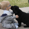 kalel_ofkrypton: (Puppy and baby)
