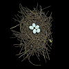 sparrow: (Default)