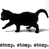 next_to_normal: black kitten on white background; text: stomp. stomp. stomp. (kitty stomp)