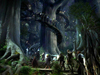 giluial: A picture of the base of one of the trees of Caras Galadhon with many people around it (Default)