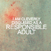 dragonlit: (Responsible Adult)