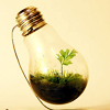 ariandar: (planted lightbulb)