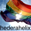 hederahelix: A rainbow flag flaps in the wind on a sunny day with the username hederahelix in black helvetica font underneath (rainbow flag)