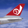 misskat: Thanks for Flying Air Dreamwidth! (Pic of the butt of a plane with the DW logo on it) (Air Dreamwidth)