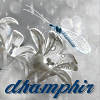 dhamphir
