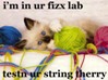 luscious_purple: i'm in ur fizx lab, testin ur string therry (string therry)
