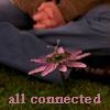 paperkingdoms: (all connected (willow's flower))