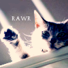 arinelle: (Rawr kitty)